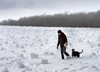More and more snow in Midwest and northeast USA | Skymet Weather Services