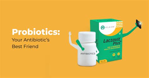 Probiotic protection for antibiotic action – Velbiom