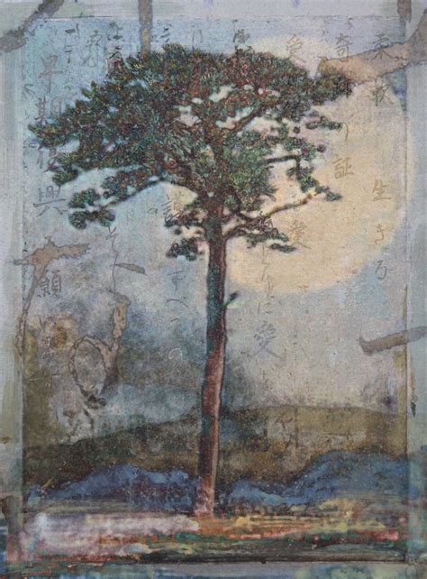 Sacred Pine (print) — Magnolia Editions