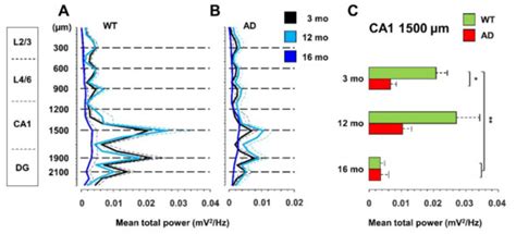 Accelerated Aging Characterizes the Early Stage of Alzheimer’s Disease