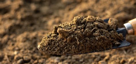 Vasudha Sara | Manure Export from India