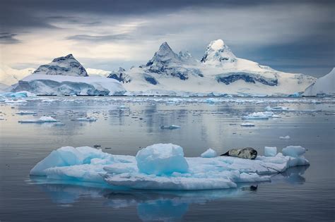 Home Adrift | Antarctica | Marc Adamus Photography
