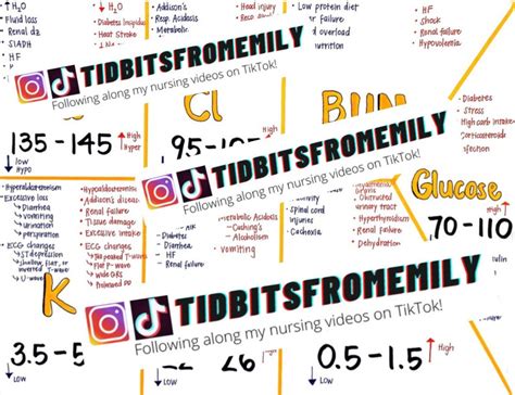 Image result for BMP Lab Values