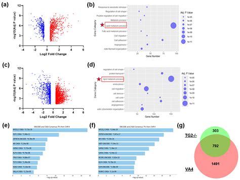 Pharmacological Inhibition of Astrocytic Transglutaminase 2 Facilitates ...