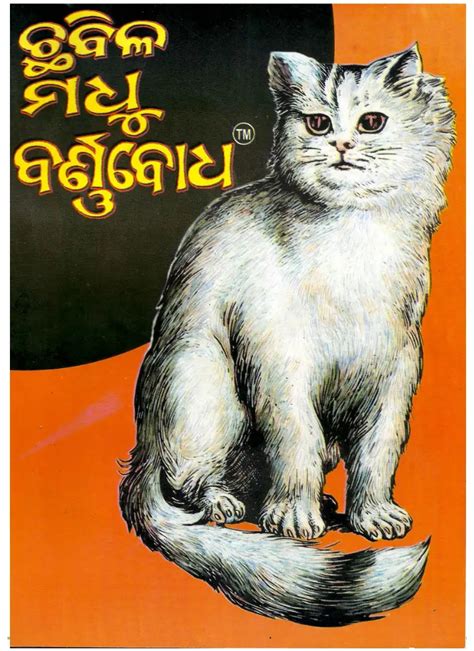 [Free] Chhabila Madhu Barnabodha Book Odia PDF Download | NijuktiOdisha.in