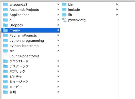 Python Venv for Mac 的图像结果