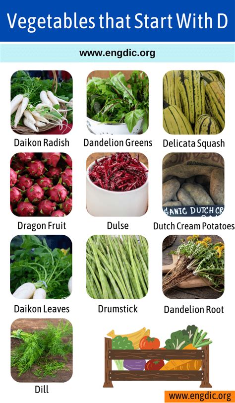 List of Vegetables That Start With D - EngDic