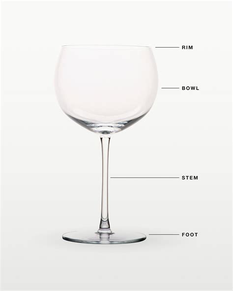 Types of Wine Glasses: A Guide to the Best Wine Glass Shapes | Crate ...