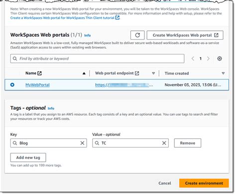 AWS Workspaces Client 的图像结果