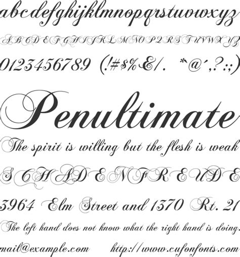 Image result for Chopin Script