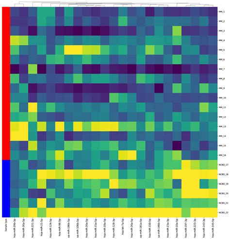 Multiple Myeloma: Genetic and Epigenetic Biomarkers with Clinical Potential