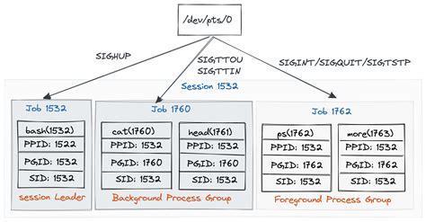 Execution ID 的图像结果