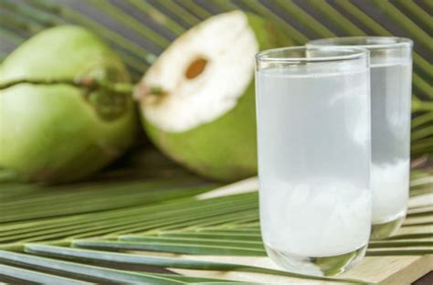 manfaat air kelapa laut