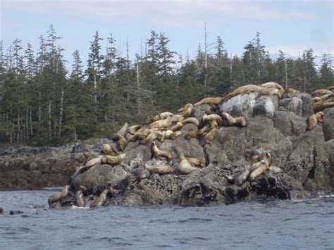 THE BEST Places to Visit in Klawock (2025) - Must-See Attractions