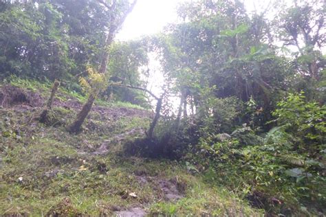 CHIRIQUI BOQUETE 58 hectares of titled land next to the Volcan Ba