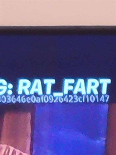 Can Rats Fart