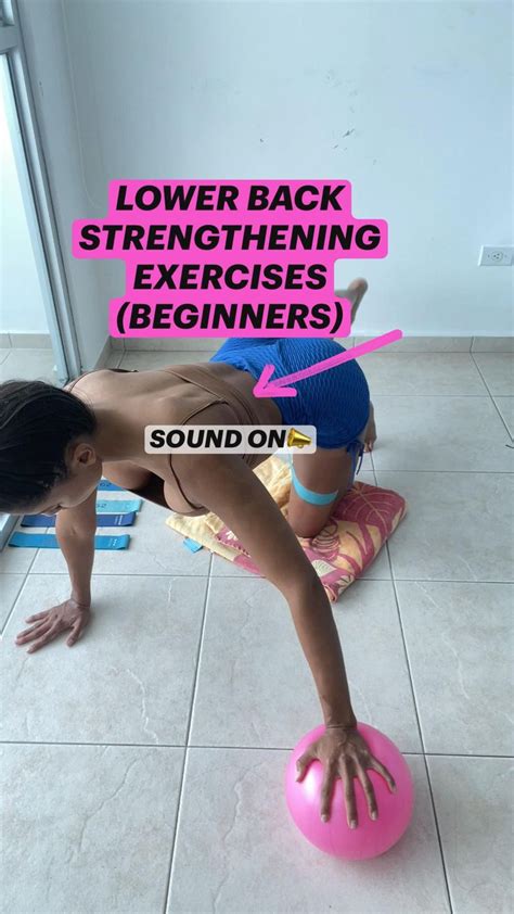 LOWER BACK STRENGTHENING EXERCISES (beginners) | Rutinas de entrenamiento, Ejercicios de ...