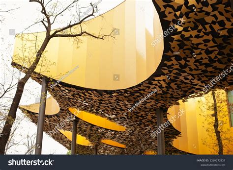 Tree Inside Building 的图像结果
