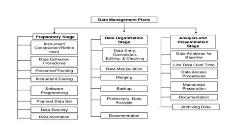 Data Management Process 的图像结果
