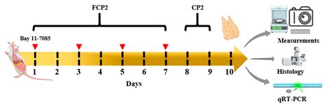 Fish Collagen Peptides Enhance Thymopoietic Gene Expression, Cell ...