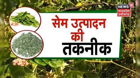 Annadata | सेम की फसल में खरपतवारों का कैसे करें नियंत्रण ? | Farming ...