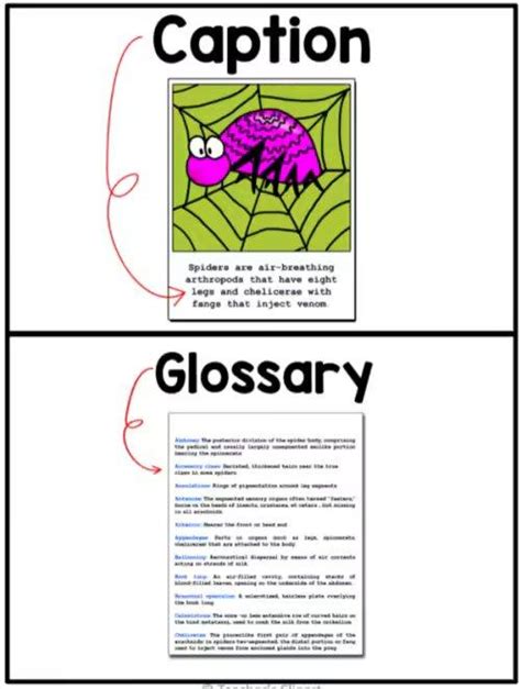 Image result for Text Features Anchor Chart