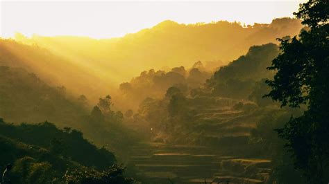Araku Valley: A Land Of Coffee Trails, Scenic Waterfalls And Tribal ...