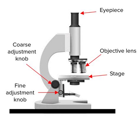 Microscope Label Diagram 的图像结果