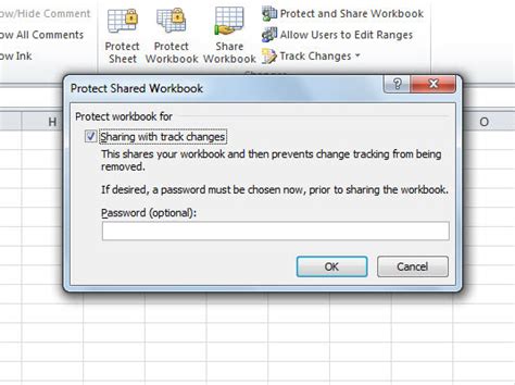 Image result for Protect Worksheet