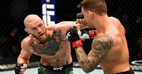 UFC Boxing 的图像结果