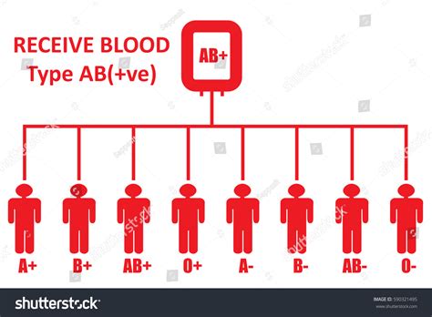 Hakuun Blood Donationblood Group Type Ab Positive liittyvä kuvituskuva 590321495 | Shutterstock