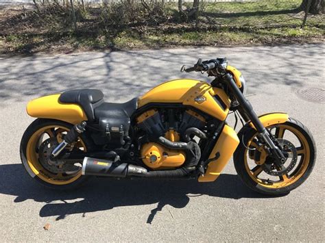 Image result for V-Rod Muscle Review