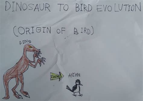 Evolution Bird 的图像结果