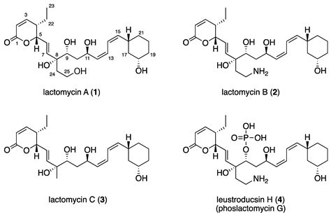 Lactomycins A–C, Dephosphorylated Phoslactomycin Derivatives that ...