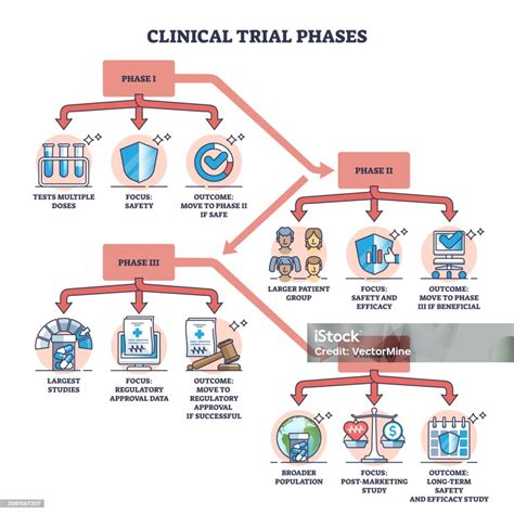 Clinical Trial Phases With Medicine And Vaccines Testing Outline Diagram Stock Illustration ...