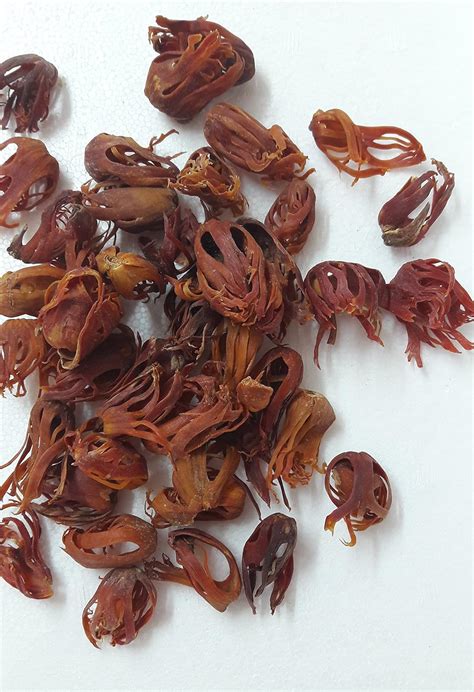 Home of Spices Javitri (Mace) 1KG : Amazon.in: Grocery & Gourmet Foods