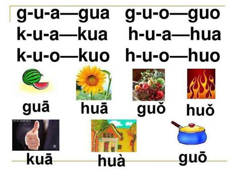 guo拼音（读guo的汉字有哪些）