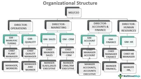 Label the Organizational Structure 的图像结果