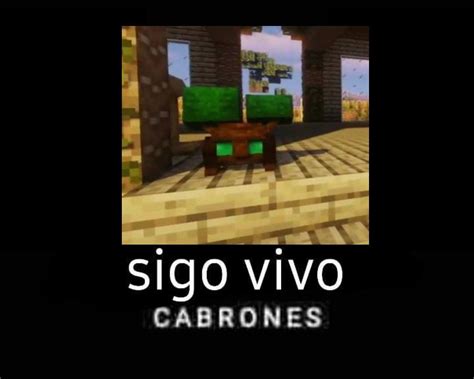 Sigo vivo cabrones : r/ubius