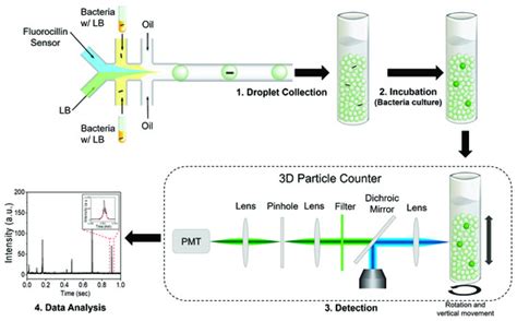 Sensors | Special Issue : Lab-on-a-Chip and Microfluidic Sensors