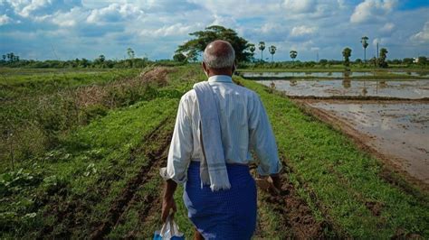 बंजर खेत को उपजाऊ बनाने के लिए अपनाएं ये टिप्स, बढ़िया होगी फसलों की ...