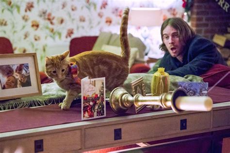 流浪猫鲍勃遗作《鲍勃的圣诞礼物》本周上线，猫演员已于今年六月因意外去世，深受全球粉丝爱戴_其他文化娱乐_什么值得买