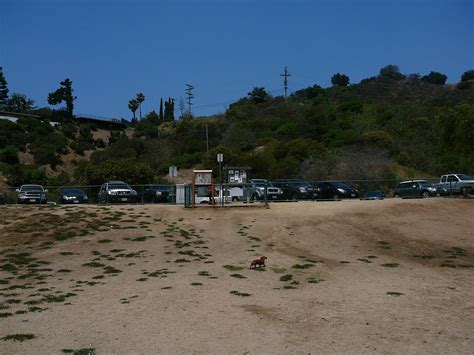 Laurel Canyon Dog Park Means Paradise for Dog Walkers | Studio City, CA ...