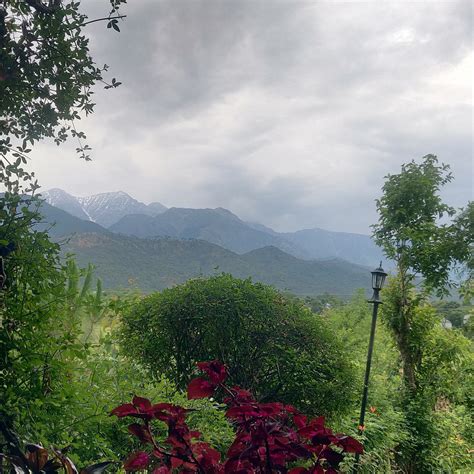 SECLUDE PALAMPUR (Chechian Khas) - Guesthouse Reviews, Photos, Rate ...