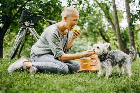 Can Dogs Eat French Fries? - Dog News Web