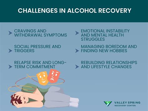 Image result for Alcohol Addiction Recovery