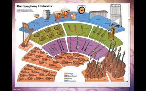 Image result for Orchestra Sections