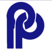 Pankaj Polymers Share Price Today - Pankaj Polymers Ltd Stock Price ...