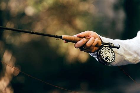 Image result for Fly Rod Length