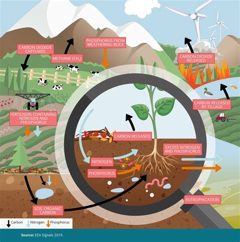 Sustainable Agriculture 的图像结果